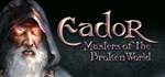 Eador: Masters of the Broken World  STEAM GIFT 