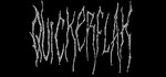 QUICKERFLAK STEAM GIFT АВТО