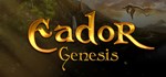 Eador. Genesis  STEAM GIFT  АВТО 