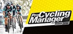 Pro Cycling Manager 2019  STEAM GIFT  АВТО 
