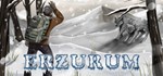Erzurum  STEAM GIFT  АВТО 
