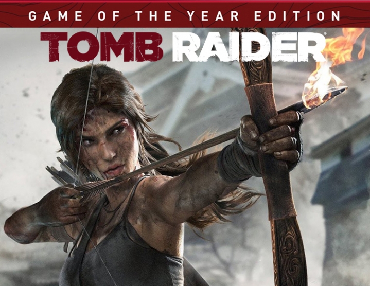 Скриншот Tomb Raider 2013: Game of the Year Limited Edition /СНГ