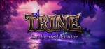 Trine Enchanted Edition | steam gift RU