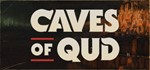 Caves of Qud | steam gift RU