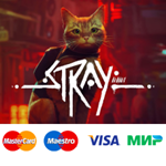 Stray | steam GIFT РОССИЯ+