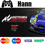 Assetto Corsa Competizione STEAM Гарантия +