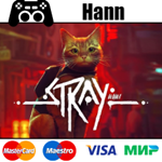 Stray  STEAM  НАВСЕГДА Гарантия