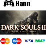 DARK SOULS™ II Scholar of the First Sin STEAM Гарантия
