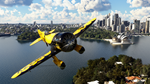 MICROSOFT FLIGHT SIMULATOR STANDARD 40th XBOXКЛЮЧ - изображение № 6
