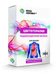 Цветотерапия   - Поджелудочная железа. Для женщин - изображение № 2