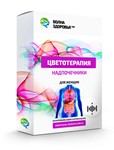 Цветотерапия  - Надпочечники. Для женщин