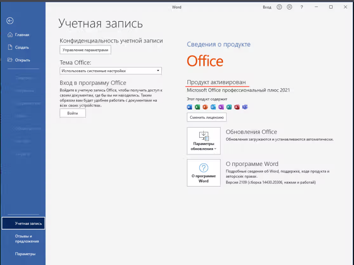 Скриншот Office 2021 Pro Plus🔑 Гарантия ✅ Партнер Microsoft