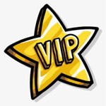 VIP PLUS 1 for 6 month.