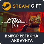 Stray Steam - Выбор Региона