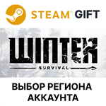 Winter SurvivalSteamВыбор Региона