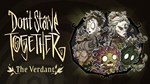 Don't Starve Together: Blooming Verdant Chest DLCRU А - изображение № 3