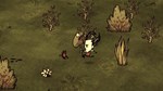 Don't Starve Together: Spring Cleaning Bundle DLCRU А - изображение № 6