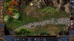 Baldur's Gate and Baldur's Gate II Enhanced XBOX Ключ - изображение № 4