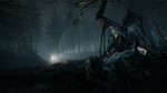 Blair Witch XBOX ONE / SERIES X|S / WIN10-11 Ключ⭐️ - изображение № 3