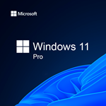 Windows 11 Professional 32/64 bit Retail - изображение № 2