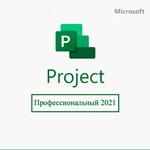 Project 2021 Professional 32/64 bit