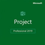 Project 2019 Professional 32/64 bit