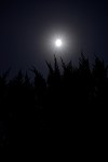 фотография ночного неба