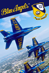 ️Blue Angels Aerobatic Flight Simulator XBOX