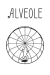 ️Alveole XBOX