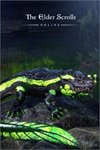 ️The Elder Scrolls Online: Newcomer Pack XBOXDLC
