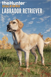 ️theHunter: Call of the Wild™ - Labrador Re XBOXDLC
