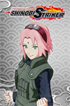 ️NTBSS: Master Character Training Pack - Sa XBOXDLC