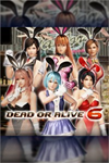 ️[Revival] DOA6 Sexy Bunny Costume Set XBOXDLC