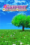 ️Summer Tri-Peaks Solitaire XBOX