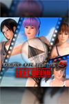 ️DEAD OR ALIVE 5 Last Round Private Paradis XBOXDLC