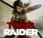 Tomb raider 2013 - Общий аккаунт Steam