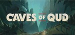 Caves of QudGIFTМИР⭐️АВТО⭐️