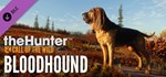 theHunter: Call of the Wild™ - GIFTМИР⭐️АВТО⭐️